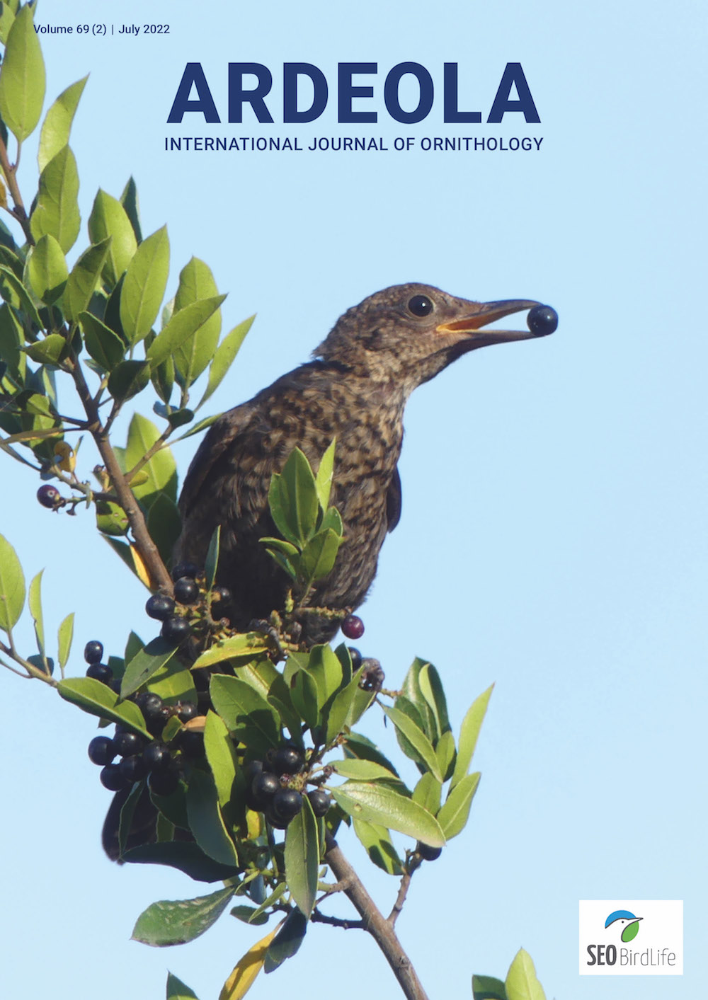 Ardeola´s front cover 69.2